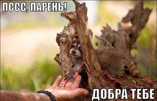 , !  !